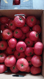 Pomodoro Insalatario Ro