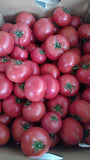 Pomodoro Insalatario Ro