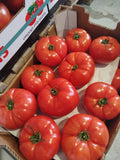 Pomodoro Insalatario Ro