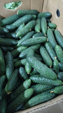 CETRIOLI CORNICHON RO